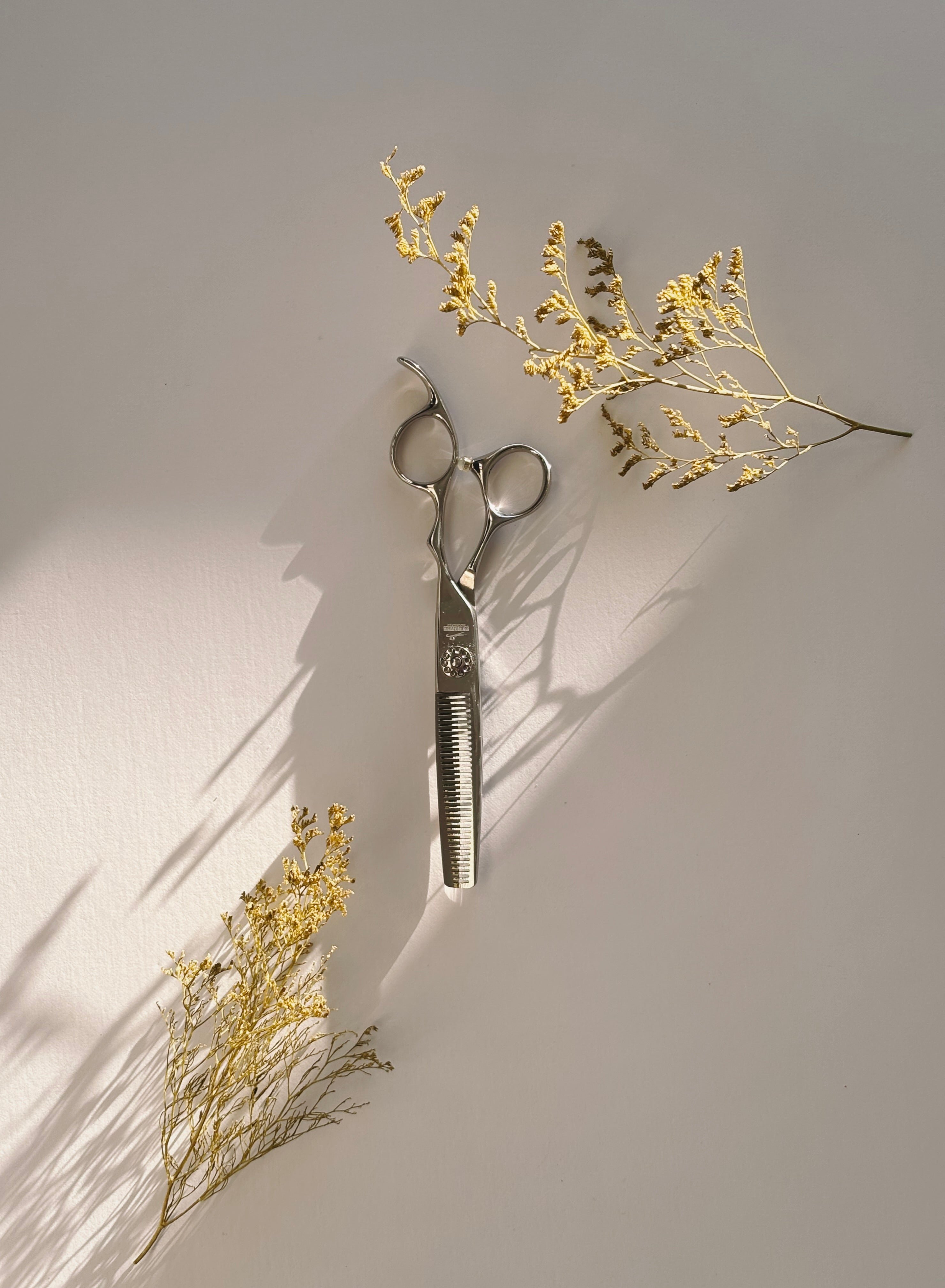 AICHI SHEARS MYTH PRO KIT