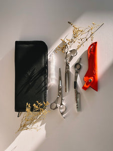 AICHI SHEARS MYTH PRO KIT