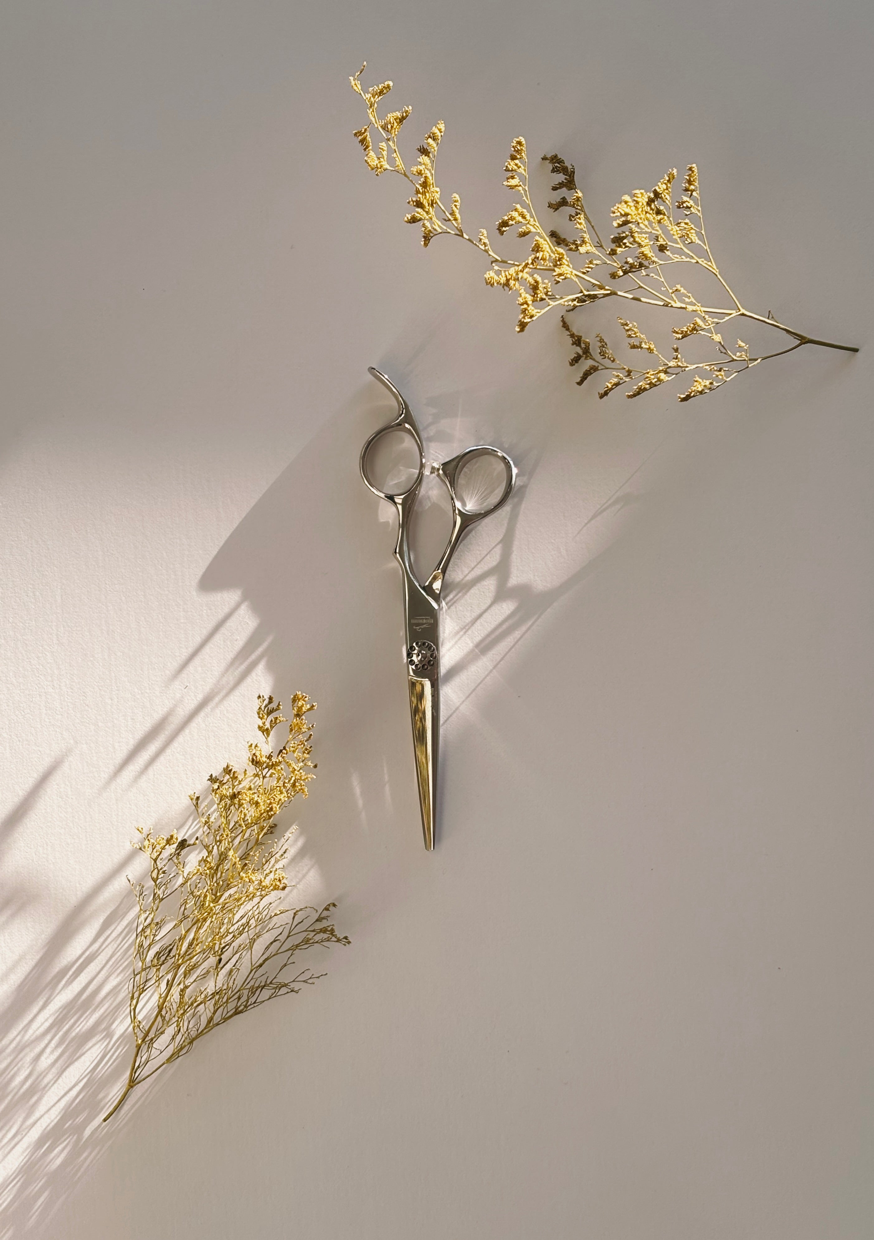 AICHI SHEARS MYTH PRO KIT