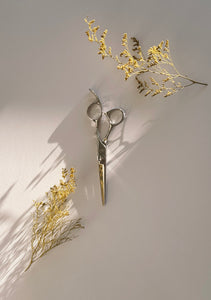 AICHI SHEARS MYTH PRO KIT