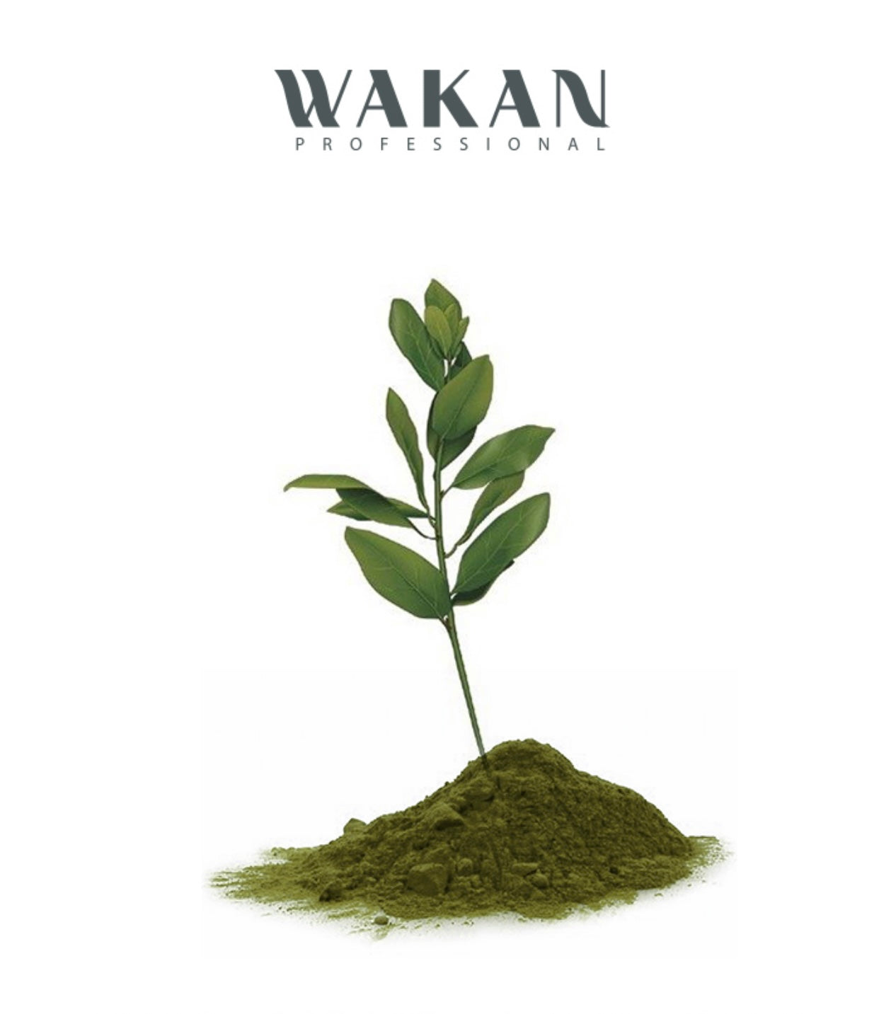 Giesel WAKAN water coloring. Natural herbal hair color